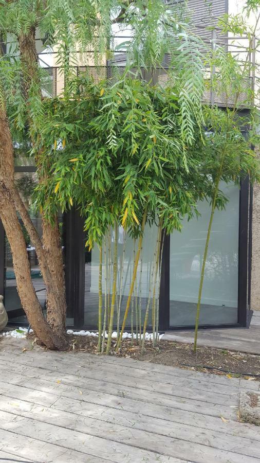 Les Aromatiques - Terrasse & Parking Prive A Villeneuve Les Avignon - Proche Golf Academy المظهر الخارجي الصورة
